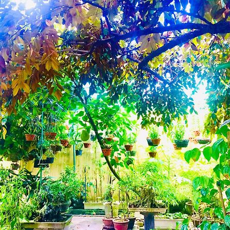Pebble Homestay هوي ان المظهر الخارجي الصورة