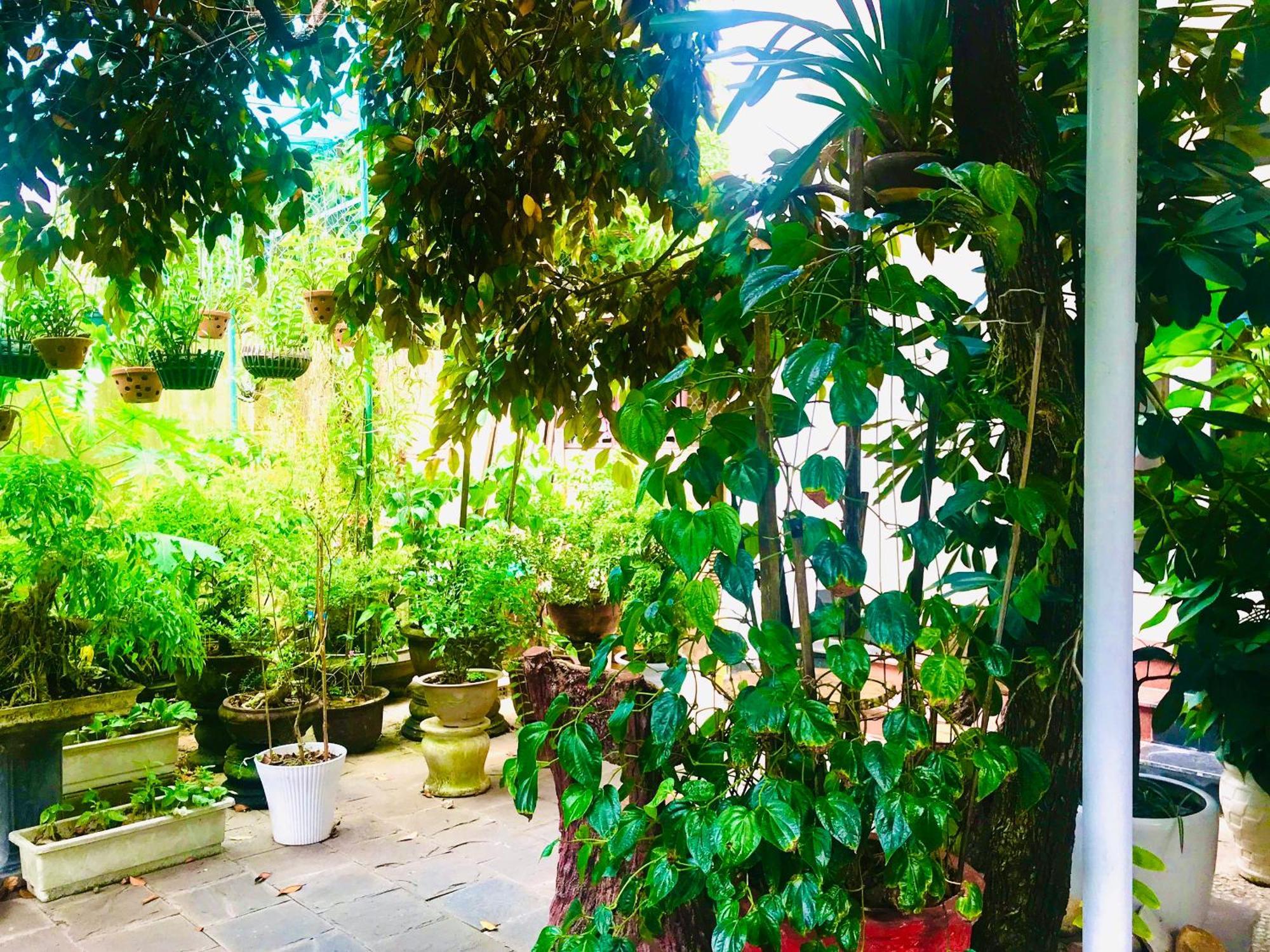 Pebble Homestay هوي ان المظهر الخارجي الصورة